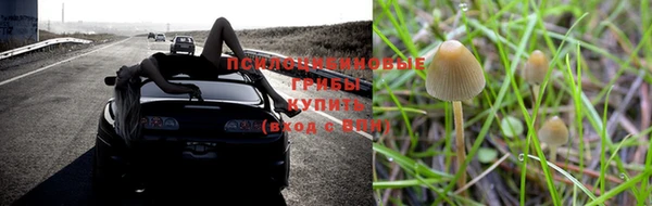 гашик Баксан